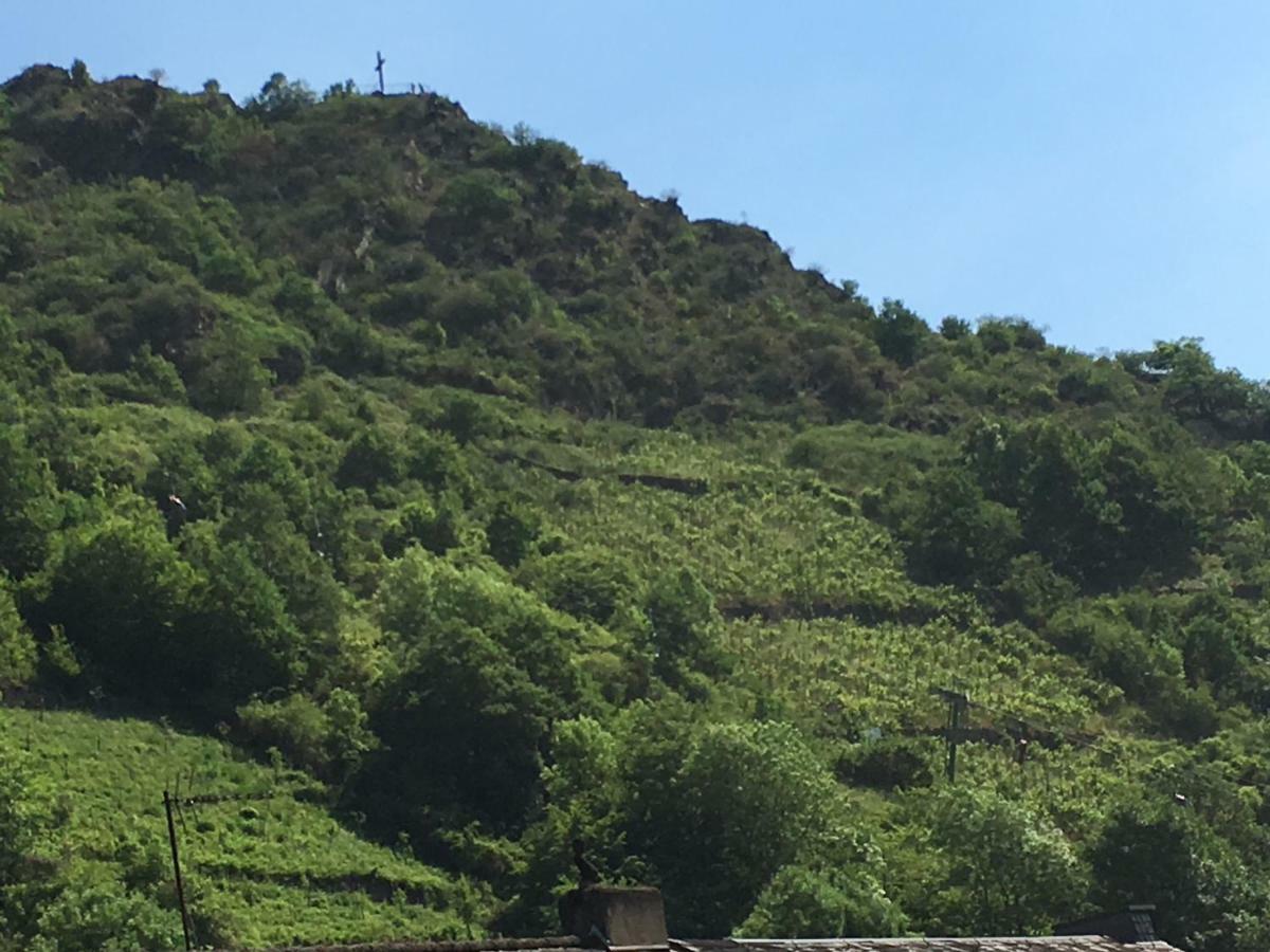 Apartment Haus Dana Cochem